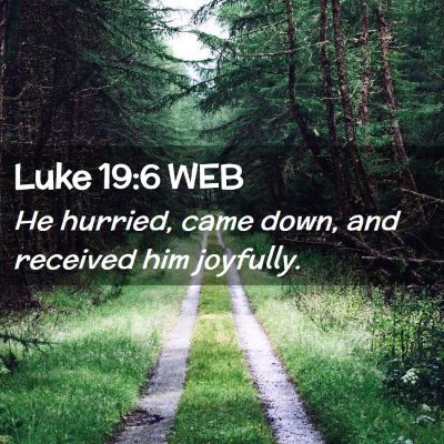 Picture 02 - Luke 19:6 WEB - He hurried, came down, and received him - Bible Verse Picture