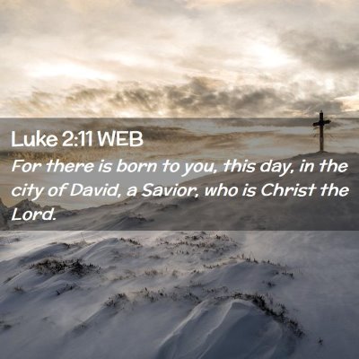 Picture 02 - Luke 2:11 WEB - For there is born to you, this day, in the city - Bible Verse Picture