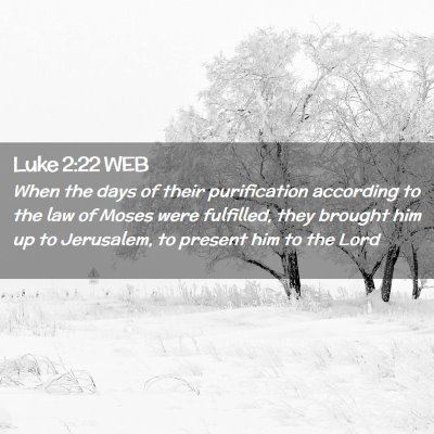 Picture 02 - Luke 2:22 WEB - When the days of their purification according to - Bible Verse Picture