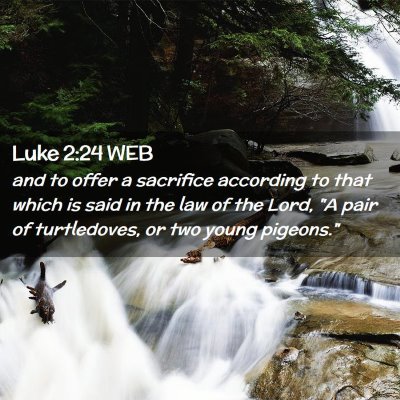 Picture 02 - Luke 2:24 WEB - and to offer a sacrifice according to that which - Bible Verse Picture