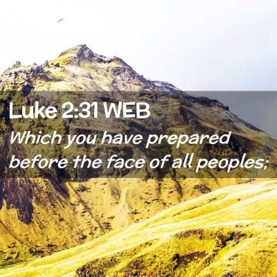 Picture 02 - Luke 2:31 WEB - Which you have prepared before the face of all - Bible Verse Picture