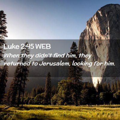 Picture 02 - Luke 2:45 WEB - When they didn't find him, they returned to - Bible Verse Picture