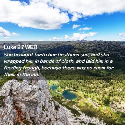 Picture 02 - Luke 2:7 WEB - She brought forth her firstborn son, and she - Bible Verse Picture