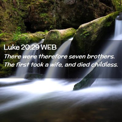 Picture 02 - Luke 20:29 WEB - There were therefore seven brothers. The first - Bible Verse Picture