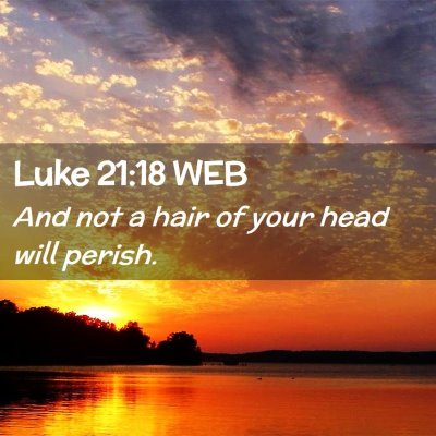 Picture 02 - Luke 21:18 WEB - And not a hair of your head will - Bible Verse Picture