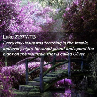 Picture 02 - Luke 21:37 WEB - Every day Jesus was teaching in the temple, and - Bible Verse Picture