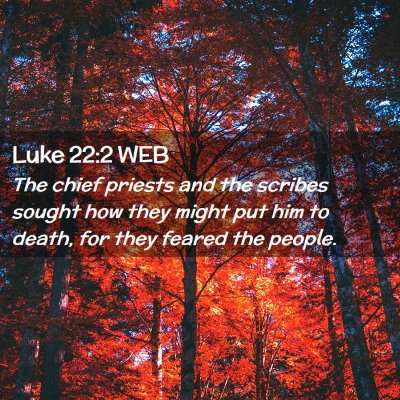 Picture 02 - Luke 22:2 WEB - The chief priests and the scribes sought how they - Bible Verse Picture