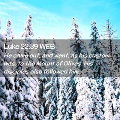 Picture 02 - Luke 22:39 WEB - He came out, and went, as his custom was, to the - Bible Verse Picture