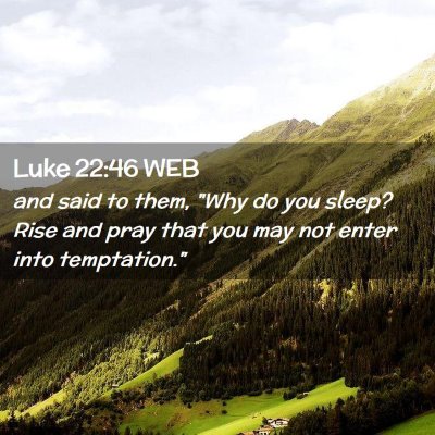 Picture 02 - Luke 22:46 WEB - and said to them, 