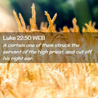 Picture 02 - Luke 22:50 WEB - A certain one of them struck the servant of the - Bible Verse Picture