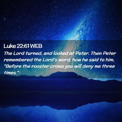 Picture 02 - Luke 22:61 WEB - The Lord turned, and looked at Peter. Then Peter - Bible Verse Picture
