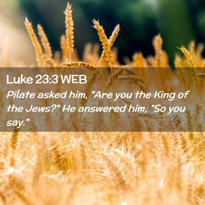 Picture 02 - Luke 23:3 WEB - Pilate asked him, 