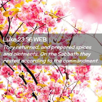Picture 02 - Luke 23:56 WEB - They returned, and prepared spices and ointments. - Bible Verse Picture