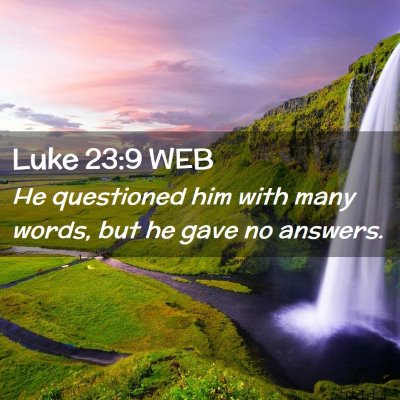 Picture 02 - Luke 23:9 WEB - He questioned him with many words, but he gave no - Bible Verse Picture