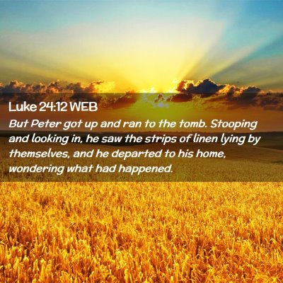 Picture 02 - Luke 24:12 WEB - But Peter got up and ran to the tomb. Stooping - Bible Verse Picture