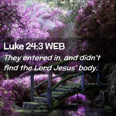 Picture 02 - Luke 24:3 WEB - They entered in, and didn't find the Lord Jesus' - Bible Verse Picture