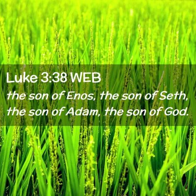 Picture 02 - Luke 3:38 WEB - the son of Enos, the son of Seth, the son of - Bible Verse Picture