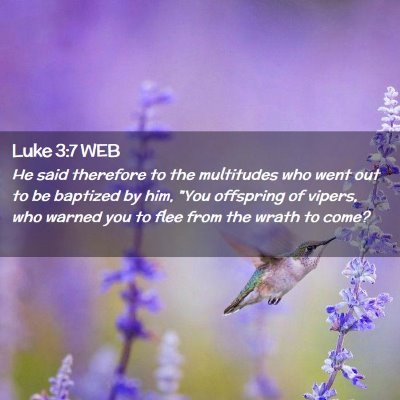 Picture 02 - Luke 3:7 WEB - He said therefore to the multitudes who went out - Bible Verse Picture
