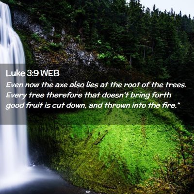 Picture 02 - Luke 3:9 WEB - Even now the axe also lies at the root of the - Bible Verse Picture
