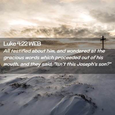 Picture 02 - Luke 4:22 WEB - All testified about him, and wondered at the - Bible Verse Picture