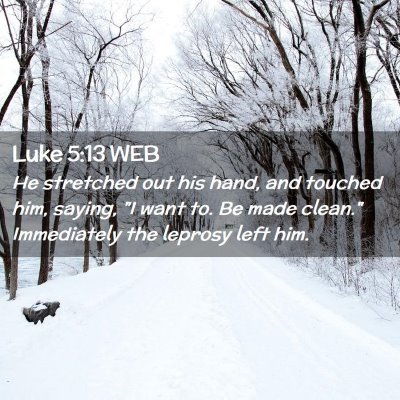 Picture 02 - Luke 5:13 WEB - He stretched out his hand, and touched him, - Bible Verse Picture