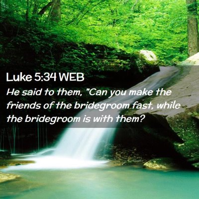 Picture 02 - Luke 5:34 WEB - He said to them, 