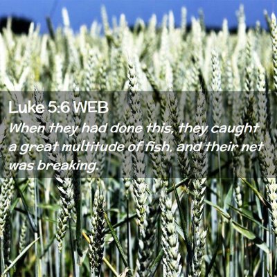 Picture 02 - Luke 5:6 WEB - When they had done this, they caught a great - Bible Verse Picture