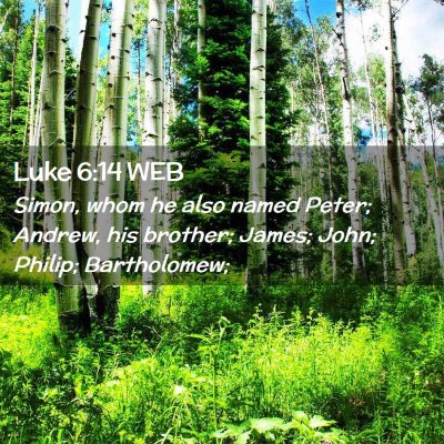 Picture 02 - Luke 6:14 WEB - Simon, whom he also named Peter; Andrew, his - Bible Verse Picture