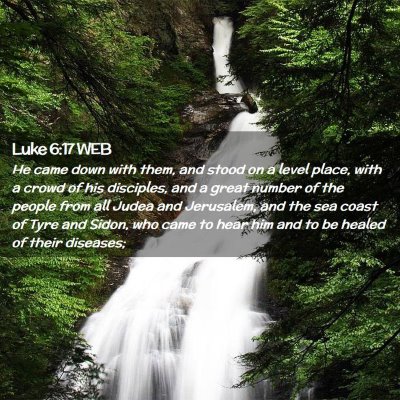 Picture 02 - Luke 6:17 WEB - He came down with them, and stood on a level - Bible Verse Picture