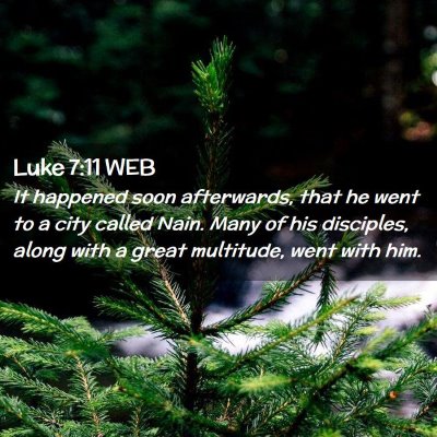 Picture 02 - Luke 7:11 WEB - It happened soon afterwards, that he went to a - Bible Verse Picture