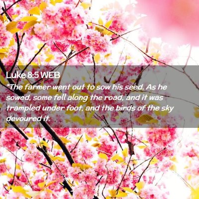Picture 02 - Luke 8:5 WEB - 