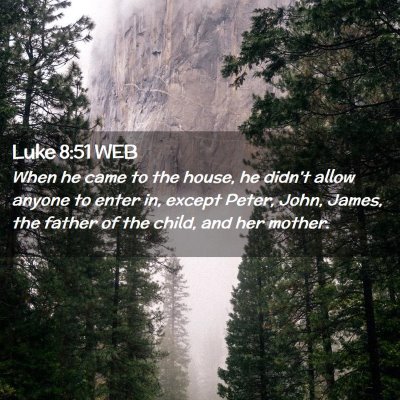 Picture 02 - Luke 8:51 WEB - When he came to the house, he didn't allow anyone - Bible Verse Picture