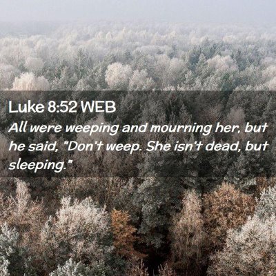 Picture 02 - Luke 8:52 WEB - All were weeping and mourning her, but he said, - Bible Verse Picture