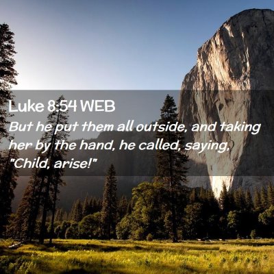 Picture 02 - Luke 8:54 WEB - But he put them all outside, and taking her by - Bible Verse Picture