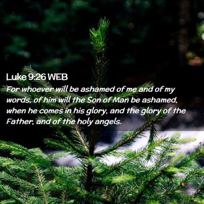 Picture 02 - Luke 9:26 WEB - For whoever will be ashamed of me and of my - Bible Verse Picture