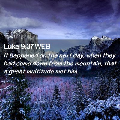 Picture 02 - Luke 9:37 WEB - It happened on the next day, when they had come - Bible Verse Picture