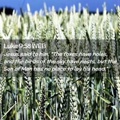 Picture 02 - Luke 9:58 WEB - Jesus said to him, 
