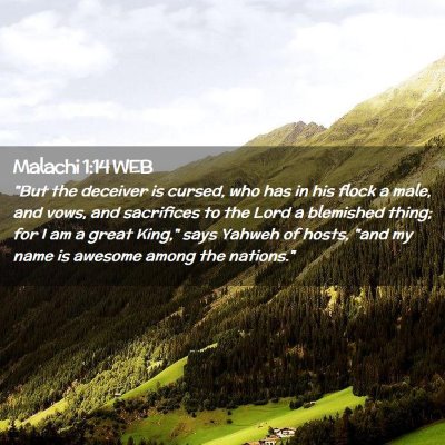 Picture 02 - Malachi 1:14 WEB - 