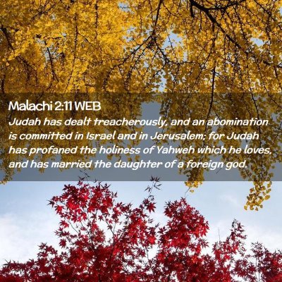 Picture 02 - Malachi 2:11 WEB - Judah has dealt treacherously, and an abomination - Bible Verse Picture