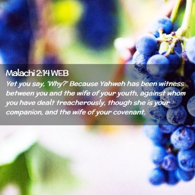 Picture 02 - Malachi 2:14 WEB - Yet you say, 'Why?' Because Yahweh has been - Bible Verse Picture