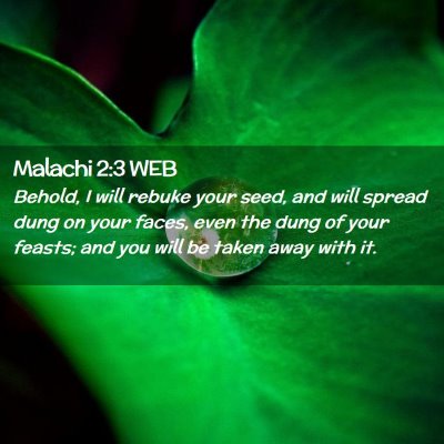 Picture 02 - Malachi 2:3 WEB - Behold, I will rebuke your seed, and will spread - Bible Verse Picture