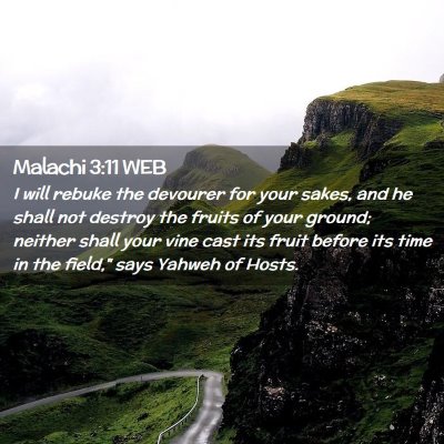 Picture 02 - Malachi 3:11 WEB - I will rebuke the devourer for your sakes, and he - Bible Verse Picture