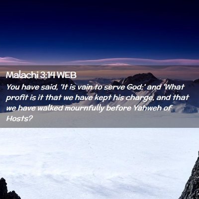Picture 02 - Malachi 3:14 WEB - You have said, 'It is vain to serve God;' and - Bible Verse Picture