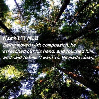 Picture 02 - Mark 1:41 WEB - Being moved with compassion, he stretched out his - Bible Verse Picture