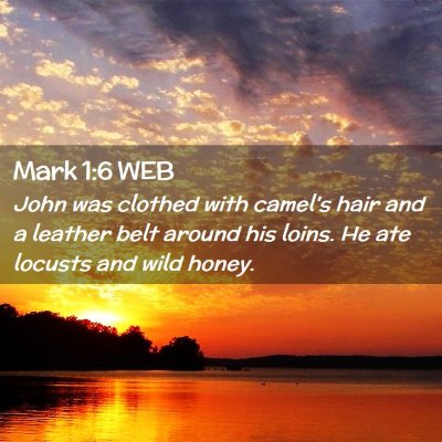 Picture 02 - Mark 1:6 WEB - John was clothed with camel's hair and a leather - Bible Verse Picture