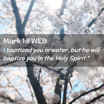 Picture 02 - Mark 1:8 WEB - I baptized you in water, but he will baptize you - Bible Verse Picture