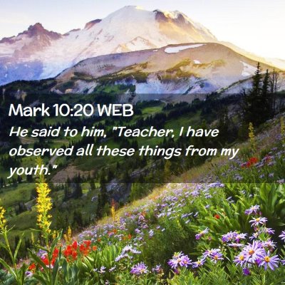 Picture 02 - Mark 10:20 WEB - He said to him, 