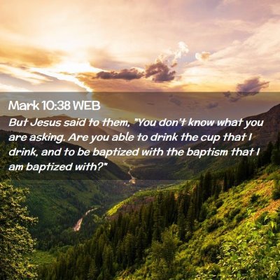 Picture 02 - Mark 10:38 WEB - But Jesus said to them, 