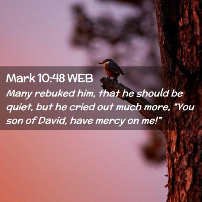 Picture 02 - Mark 10:48 WEB - Many rebuked him, that he should be quiet, but he - Bible Verse Picture
