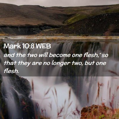 Picture 02 - Mark 10:8 WEB - and the two will become one flesh,' so that they - Bible Verse Picture